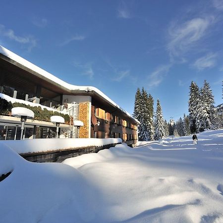 Saanewald Lodge Saanenmöser Εξωτερικό φωτογραφία