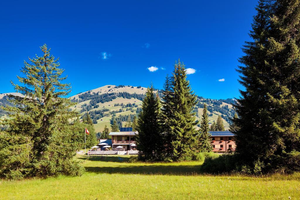 Saanewald Lodge Saanenmöser Εξωτερικό φωτογραφία